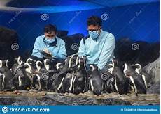 Cold Climate Uniforms